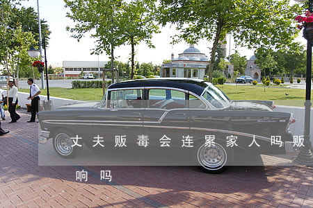 丈夫贩毒会连累家人吗(贩毒对家人财产有影响吗)