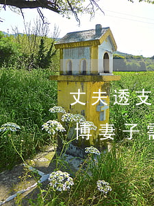 丈夫透支妻子信用卡賭博(丈夫透支信用卡賭博妻子需承擔(dān)責(zé)任)