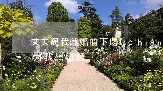 丈夫逼我離婚的下場(chǎng)(老公暴力我想離婚)