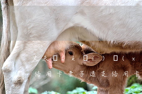 丈夫開(kāi)銷(xiāo)全靠透支信用卡(妻子透支信用卡丈夫要承擔(dān)法律責(zé)任嗎)