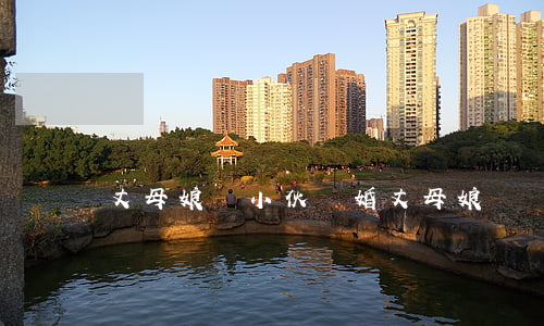 丈母娘與小伙離婚(丈母娘勸離婚)