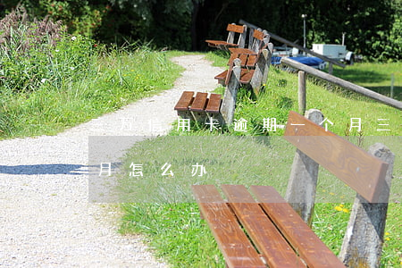 三万信用卡逾期一个月(三万信用卡逾期一个月怎么办)