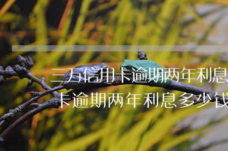 三万信用卡逾期两年利息多少钱-三万信用卡逾期两年利息多少钱啊