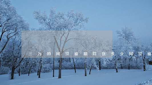 三万的网贷逾期罚息多少(网贷逾期罚款多少)