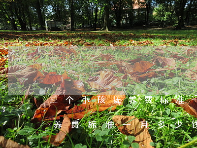 三个小孩抚养费标准一月多少钱(3个小孩抚养费标准一月多少钱)