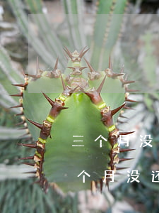 三个月没发工资欠网贷还能撑多久(欠网贷三个月没还会怎么样)