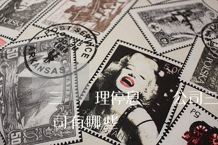 三亞辦理停息掛賬公司(三亞辦理停息掛賬公司有哪些)