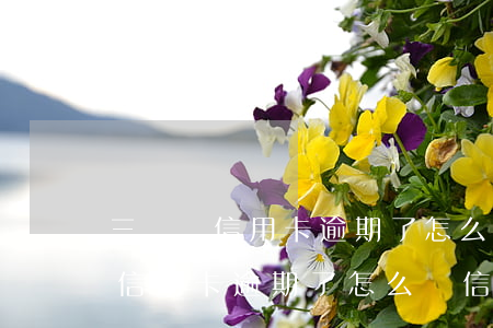三亞還信用卡逾期了怎么還信用卡-三亞還信用卡逾期了怎么還信用卡的錢