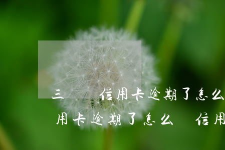三亞還信用卡逾期了怎么還信用卡(三亞還信用卡逾期了怎么還信用卡)