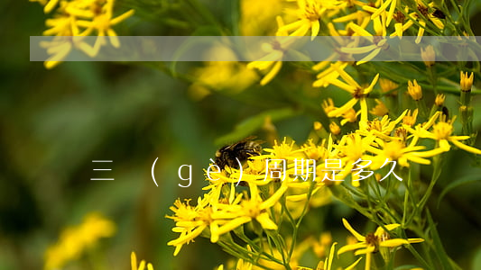 三個(gè)周期是多久