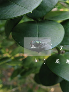 三個(gè)周期是多久(汽車年審三個(gè)周期是多久)