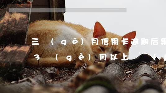 三個(gè)月信用卡逾期后果（信用卡逾期3個(gè)月以上會報(bào)案嗎）