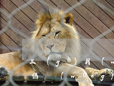 三個(gè)月網(wǎng)貸逾期上征信嗎(網(wǎng)貸平臺(tái)逾期三個(gè)月以上有什么影響)