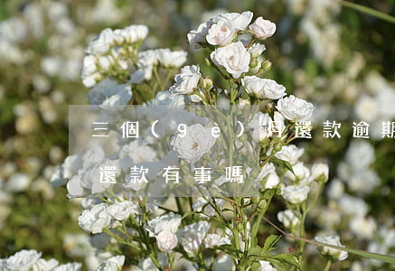三個(gè)月還款逾期后果(貸款逾期三天還款有事嗎)