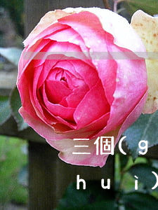 三個(gè)網(wǎng)貸逾期了會(huì)成黑名單嗎（三個(gè)網(wǎng)貸逾期）