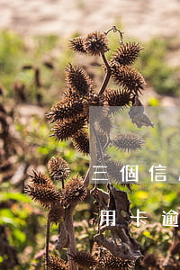 三個信用卡逾期5萬9會被判刑嗎-5張信用卡逾期3個月了怎么辦