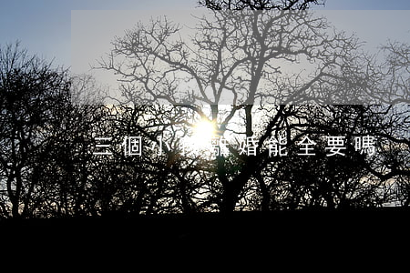 三個小孩離婚能全要嗎