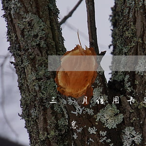 三個月信用卡逾期后果（信用卡逾期三個月會長息嗎）