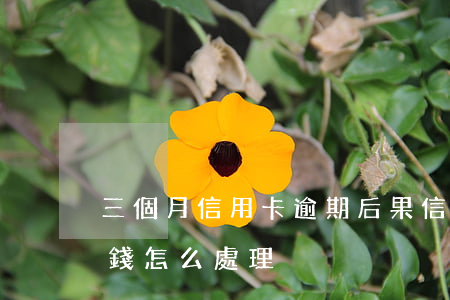 三個月信用卡逾期后果（信用卡逾期三個月沒錢怎么處理）