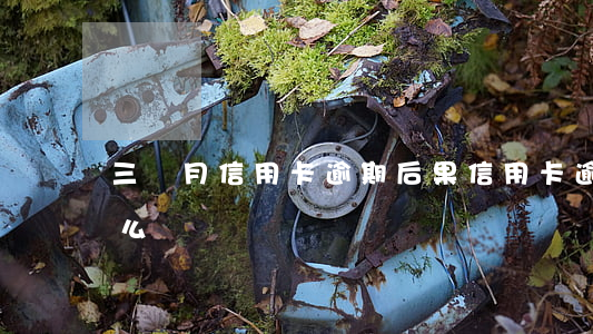 三個月信用卡逾期后果（信用卡逾期后三天怎么辦）