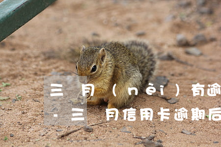 三個月內(nèi)有逾期_信用卡好批嗎-三個月信用卡逾期后果