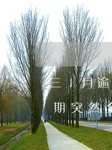 三個月逾期突然全部還款怎么辦-三個月逾期突然全部還款怎么辦呢