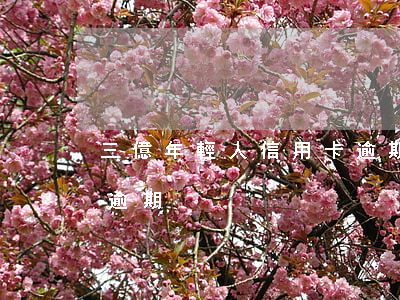 三億年輕人信用卡逾期-三億年輕人信用卡逾期