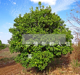 三億年輕人信用卡逾期(信用卡逾期3萬變6萬)