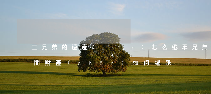 三兄弟的遺產(chǎn)怎么繼承(兄弟之間財產(chǎn)如何繼承)