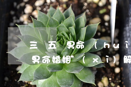 三兩五錢男命會(huì)離婚嗎(三兩五錢男命婚姻細(xì)解)