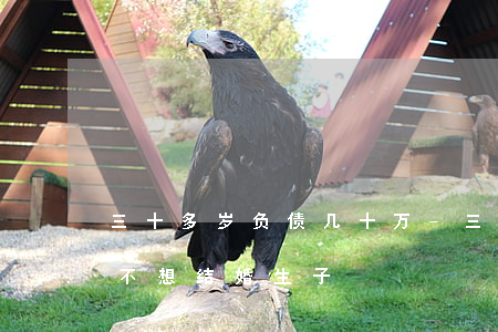 三十多岁负债几十万-三十多岁负债几十万不想结婚生子