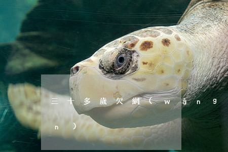 三十多歲欠網(wǎng)貸十多萬(wàn)