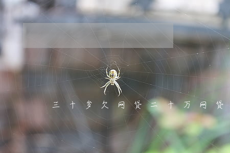 三十岁欠网贷二十万(网贷欠了三十万)