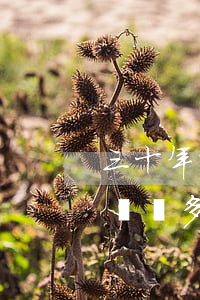 三十年前欠銀行1000現(xiàn)在該還多少-三十年前欠銀行1000現(xiàn)在該還多少錢