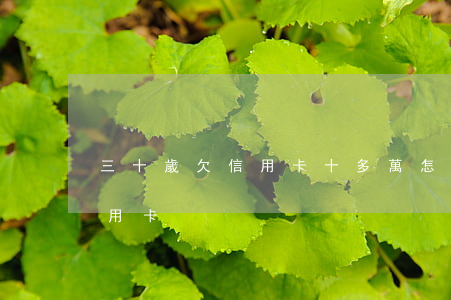 三十歲欠信用卡十多萬怎么樣辦（三十歲欠信用卡）