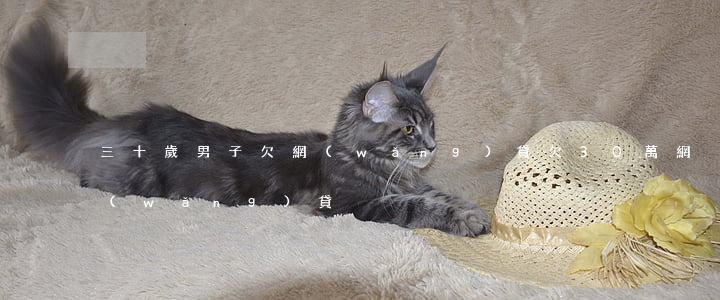 三十歲男子欠網(wǎng)貸(欠30萬網(wǎng)貸)