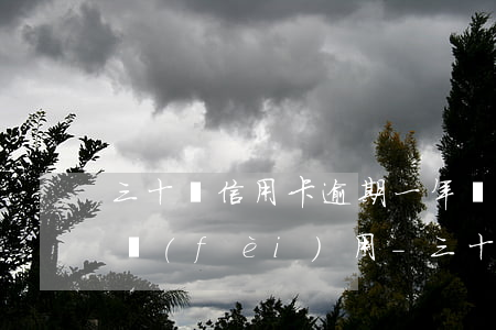 三十萬信用卡逾期一年產(chǎn)生的費(fèi)用-三十萬信用卡逾期一年產(chǎn)生的費(fèi)用是多少