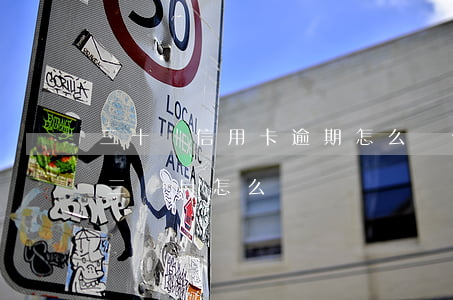 三十萬信用卡逾期怎么辦(信用卡10萬逾期三個月怎么辦)