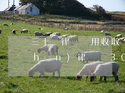 三十萬律師費用收取標(biāo)準(zhǔn)(律師費30萬)