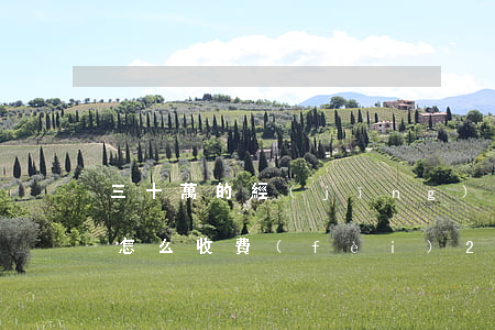 三十萬的經(jīng)濟(jì)案律師怎么收費(fèi)?(20萬經(jīng)濟(jì)糾紛律師費(fèi))