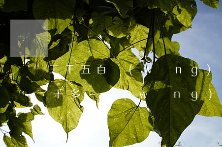 三千五百網(wǎng)貸欠了三年要還八千多-網(wǎng)貸三千逾期三年要還多少