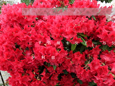 三千信用卡欠了一万(欠一万信用卡3年有多少利息)