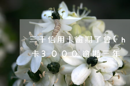 三千信用卡逾期了會(huì)怎么樣(信用卡3000逾期三年)