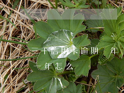 三千信用卡逾期兩年沒還(信用卡欠三千逾期一年怎么辦)