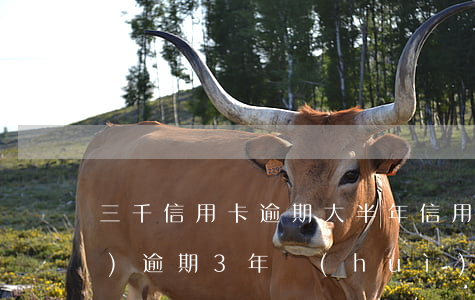 三千信用卡逾期大半年(信用卡3萬(wàn)逾期3年會(huì)怎么樣)
