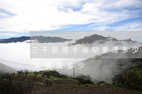 三千信用卡逾期要還多少(三千信用卡逾期一年要還多少)