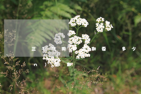 三千信用卡逾期要還多少(信用卡3萬(wàn)逾期)