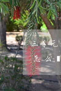 三千元信用卡逾期四年（信用卡四千逾期一年怎么辦）