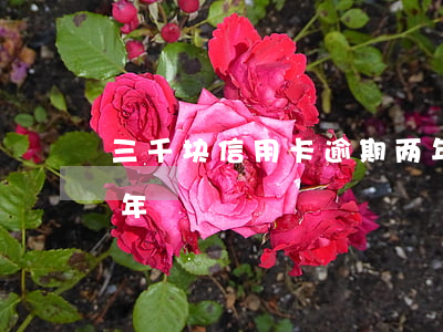 三千块信用卡逾期两年(三千元信用卡逾期四年)