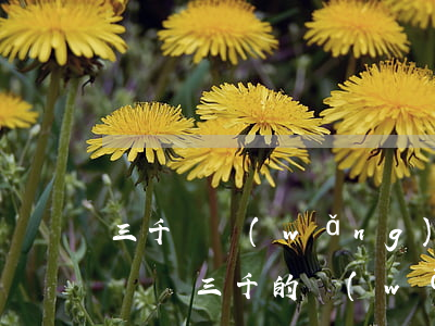 三千塊網(wǎng)貸會(huì)被起訴嗎 三千的網(wǎng)貸會(huì)起訴嗎